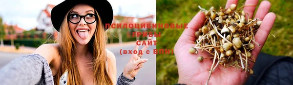 метадон Белокуриха
