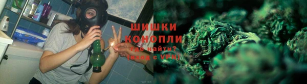 сатива Белоозёрский