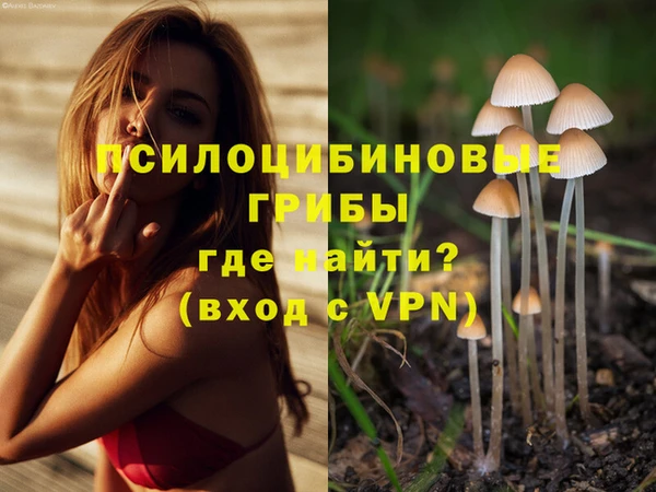 метадон Белокуриха