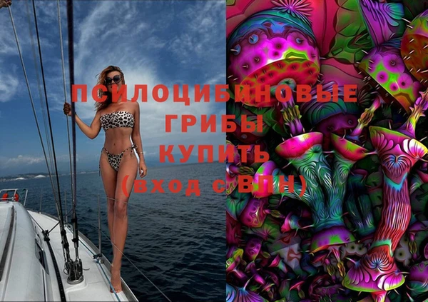 метадон Белокуриха