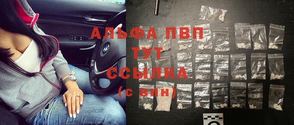 сатива Белоозёрский